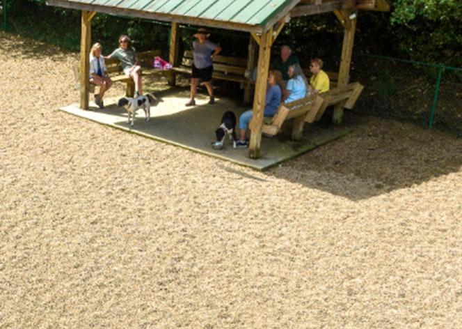 Dog Park