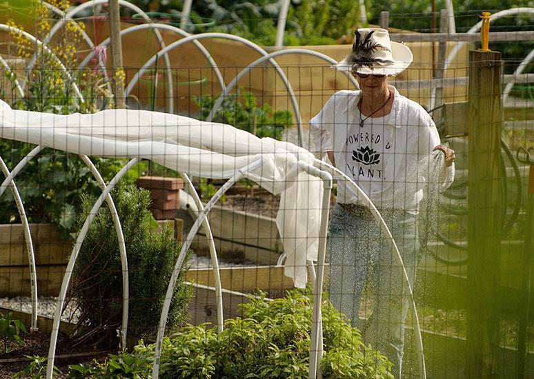 Organic Garden